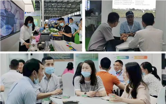 6t�������ʲ�չ�ڶ�ʮ�������ũ�û�ѧƷ��ֲ��չ��